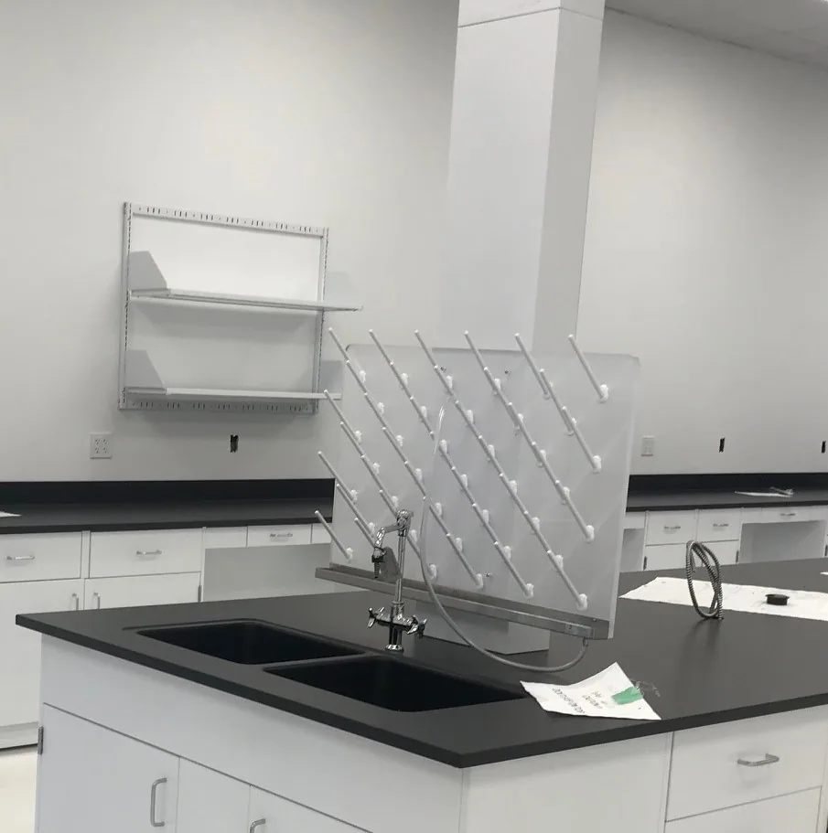 Sinks for laboratory spaces by Lab Setup America