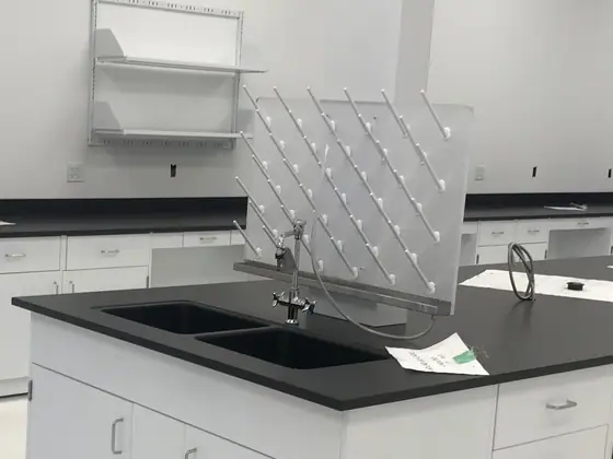 Sinks for laboratory spaces by Lab Setup America