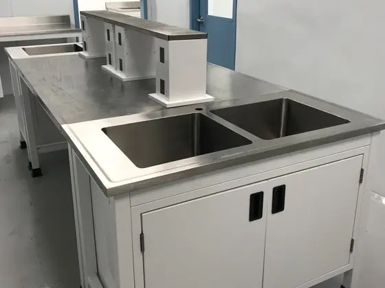 Sinks for laboratory spaces by Lab Setup America