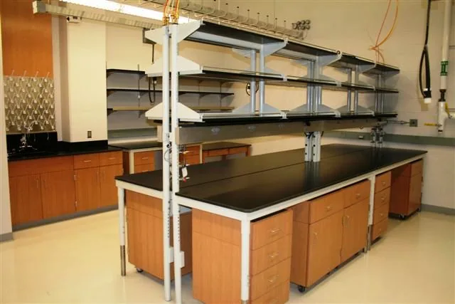 Wood and Plastic Laminate Casework laboratory furniture installation by Lab Setup America