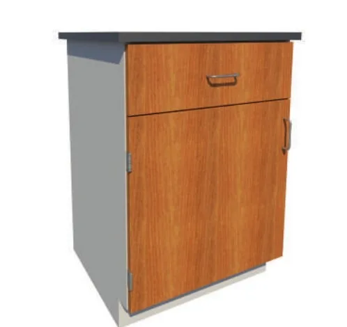Flush Overlay Wood Fronts custom laboratory cabinet style